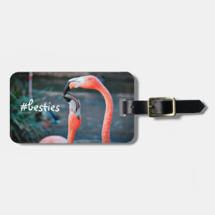 Pink Flamingos Photo Besties Script Stylish Modern Luggage Tag