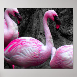~Pink Flamingos~ PINK FLAMINGOS, CUSTOMIZE IT! Poster