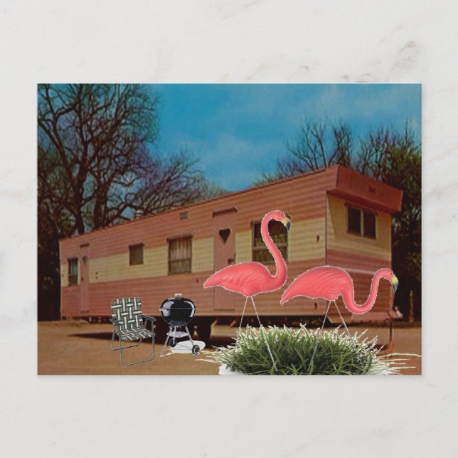 Pink Flamingos Postcard (Front)