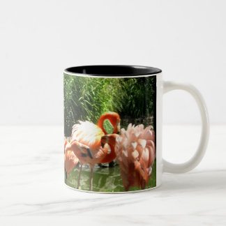 pink flamingos Two-Tone coffee mug