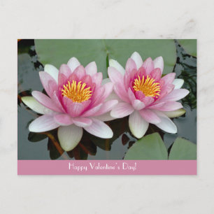 Pink Floating Waterlily LotusValentive's Day Card