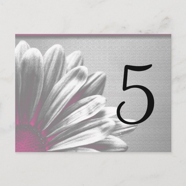 Pink Floral Highlights Table Number Postcard (Front)
