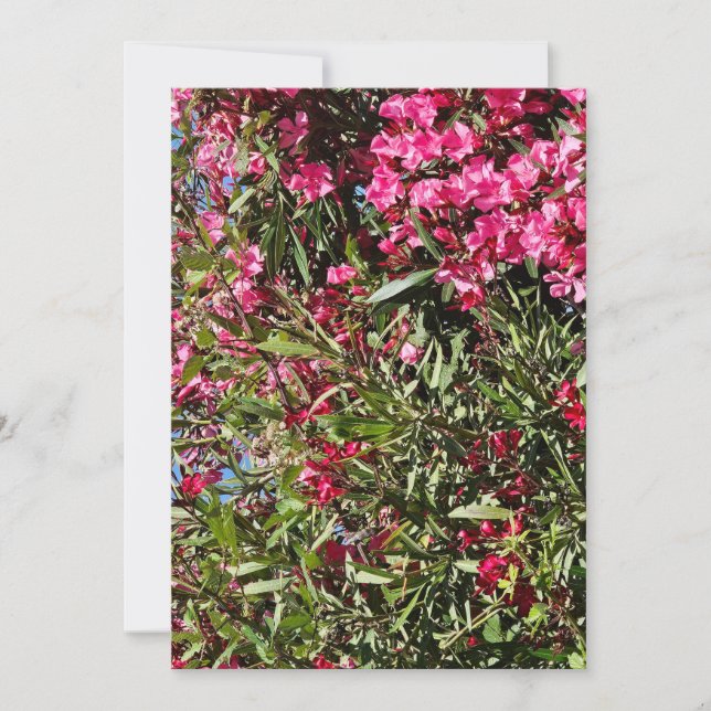 Pink floral invitation (Front)