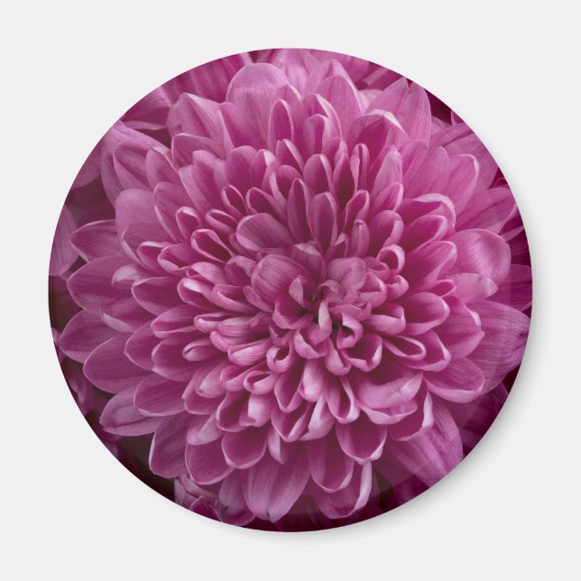 Pink Floral Magnet (Front)