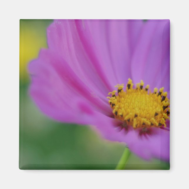 Pink Floral Magnet (Front)