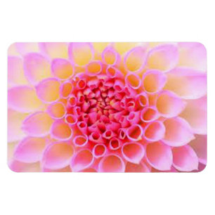 PINK FLORAL MAGNET
