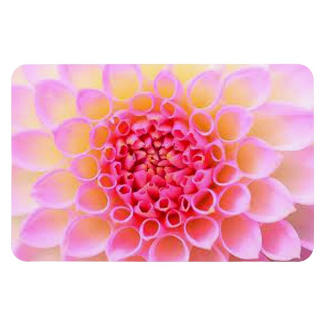 PINK FLORAL MAGNET (Horizontal)