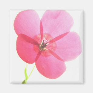 Pink Floral Magnet