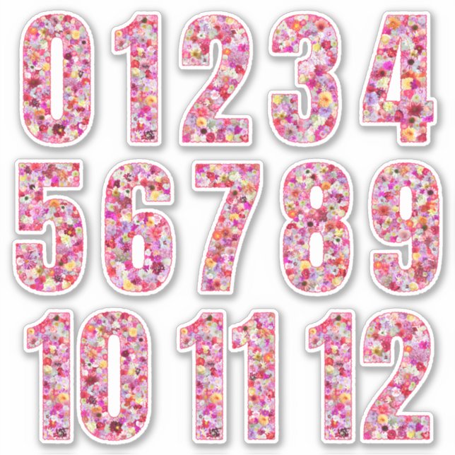 Pink Floral Numbers Twelve Months  (Front)