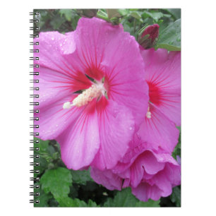 Pink Floral Photography  Notebook