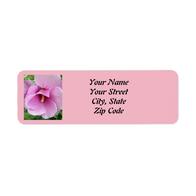Pink Floral Photography  Return Address Labels (Front)