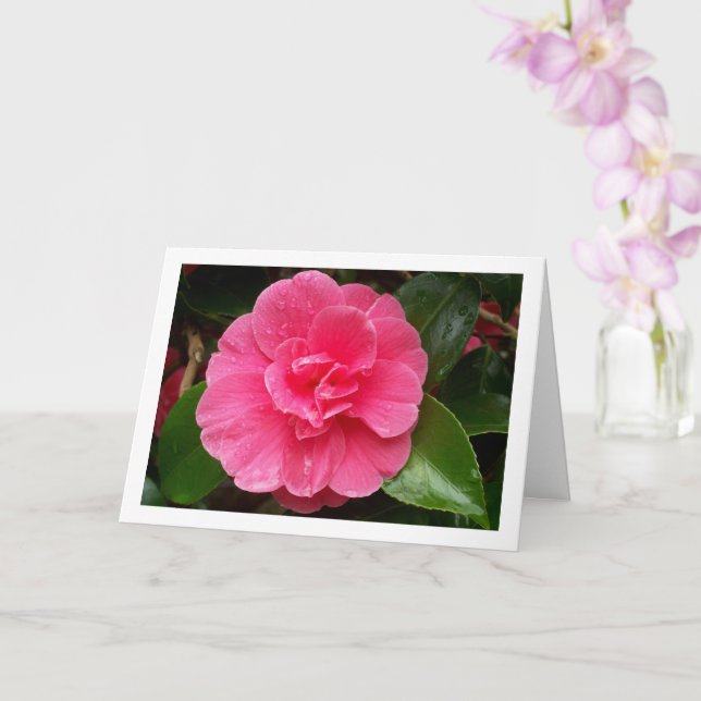 Pink Floral Rose Card (Orchid)