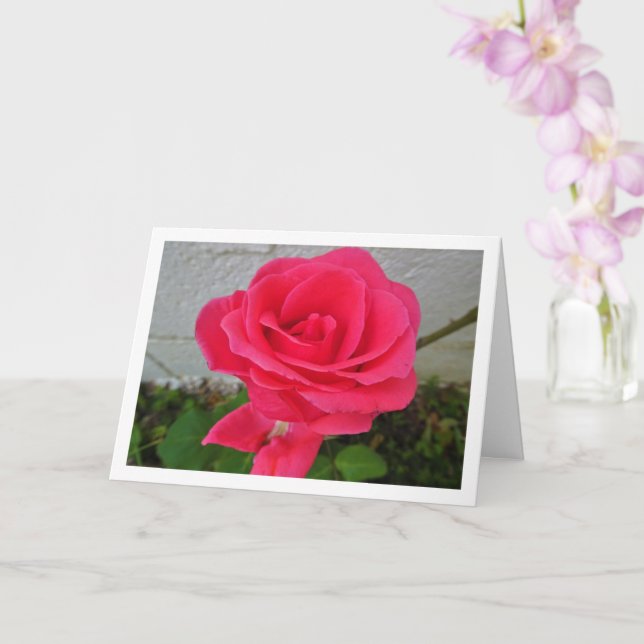 Pink Floral Rose Card (Orchid)