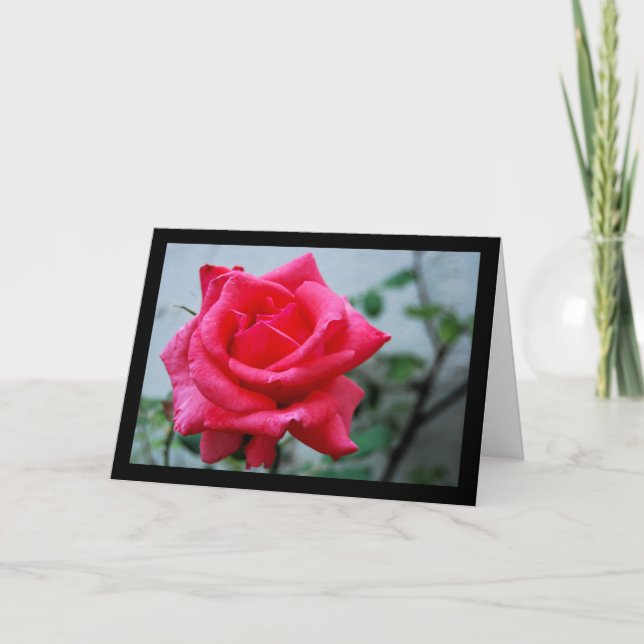 Pink Floral Rose Portrait Card (Front)