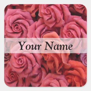 Pink floral roses square sticker