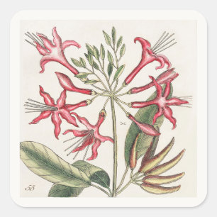 Pink Floral Square Sticker Sheet