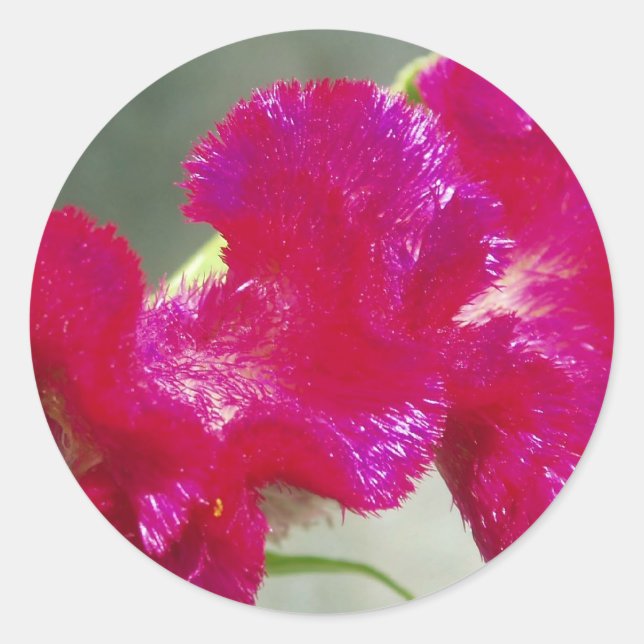 Pink Floral Sticker (Front)