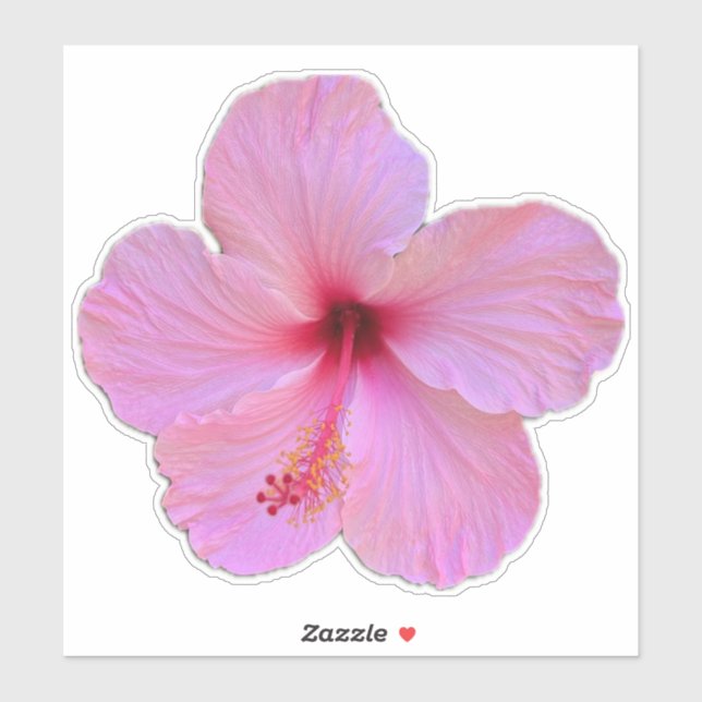 Pink Flower (Sheet)