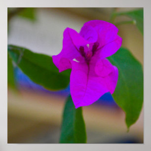 Pink Flower - #2 Poster