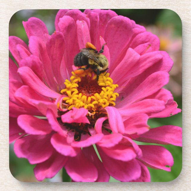 Pink flower and Bumble bee Coaster (Front)