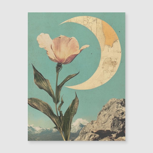 Pink Flower and Crescent Moon (Front)