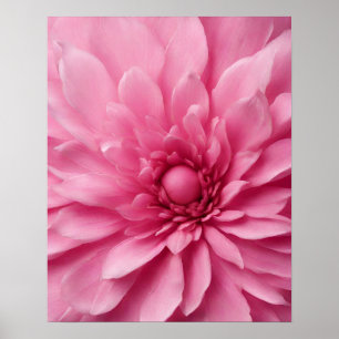 PINK FLOWER ART POSTER