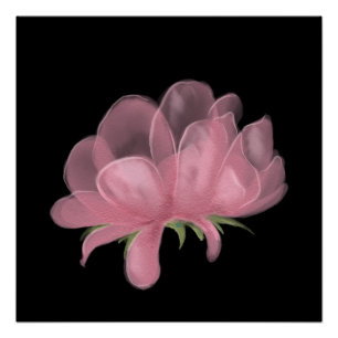Pink Flower Art Poster