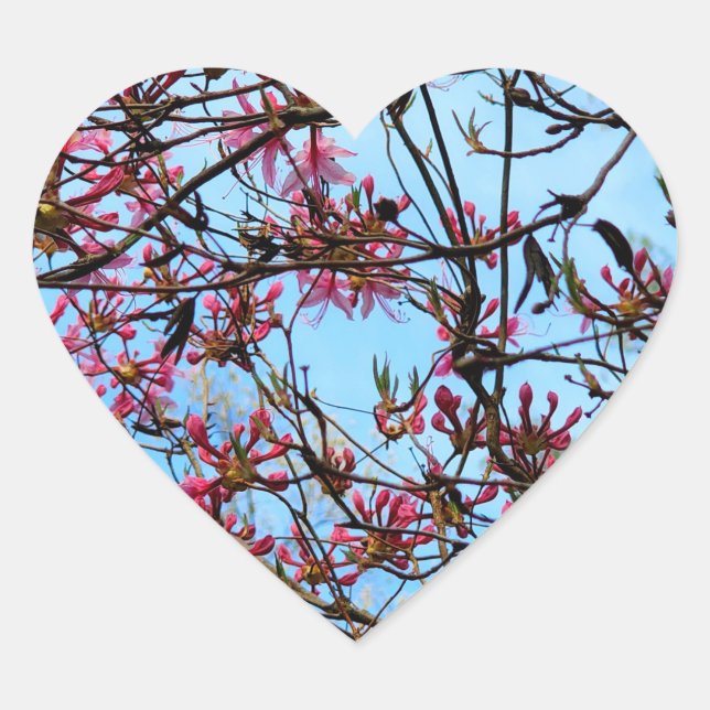 Pink Flower Buds on a Tree Heart Sticker (Front)