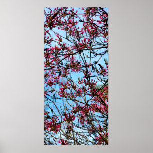 Pink Flower Buds on a Tree Poster
