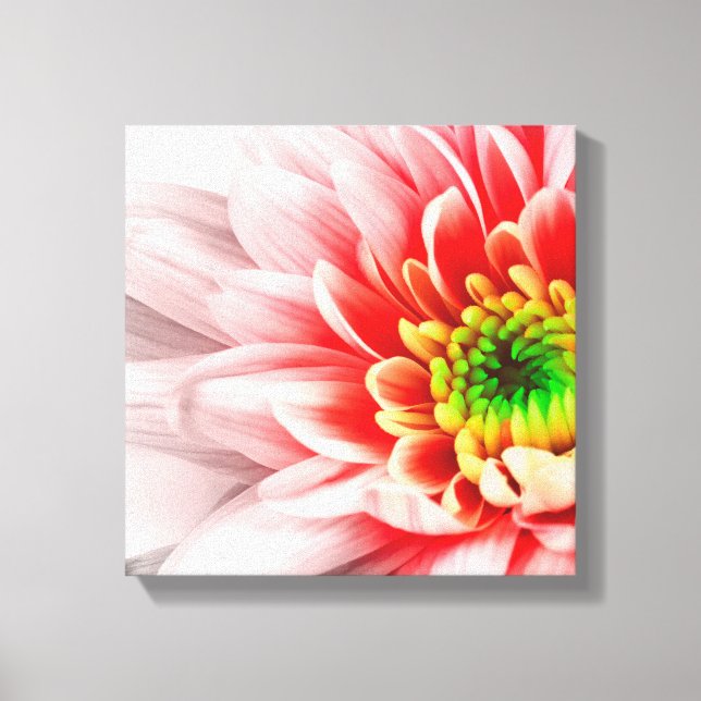 Pink Flower Canvas Print (Front)