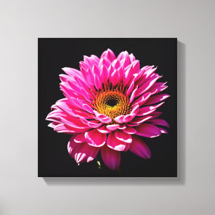 Pink Flower Canvas Print