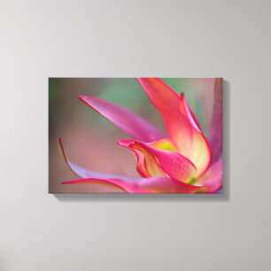 Pink flower Canvas print