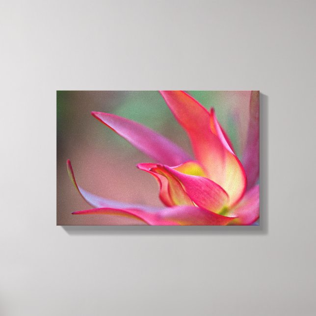 Pink flower Canvas print (Front)