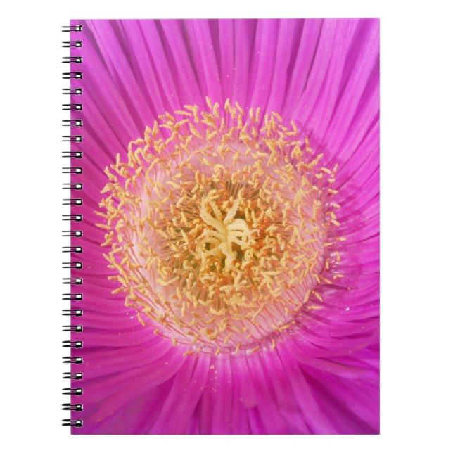 Pink Flower Centre Notebook (Front)