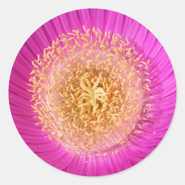 Pink Flower Centre Stickers (Front)