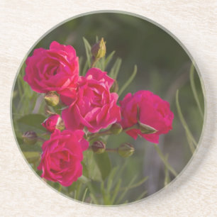 Pink Flower Coaster