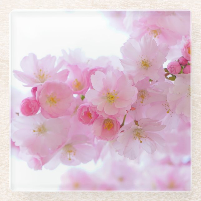 Pink Flower - Coaster (Front)