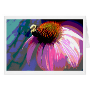Pink Flower Echinacea Photography