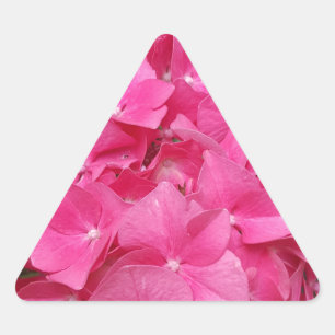 Pink Flower Floral Photography Nature Triangle Sticker