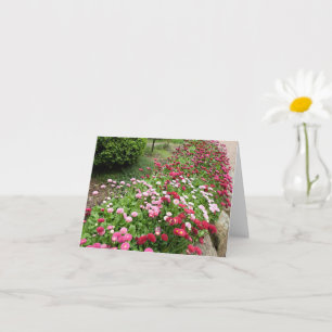 Pink Flower Garden Card