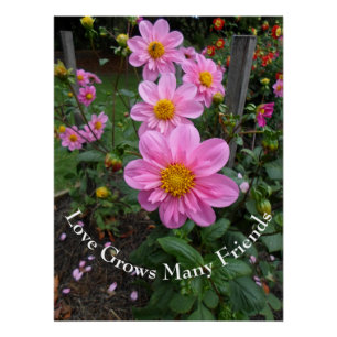 Pink Flower Garden Poster