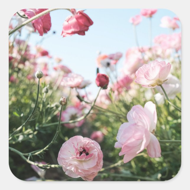 Pink flower garden sticker (Front)