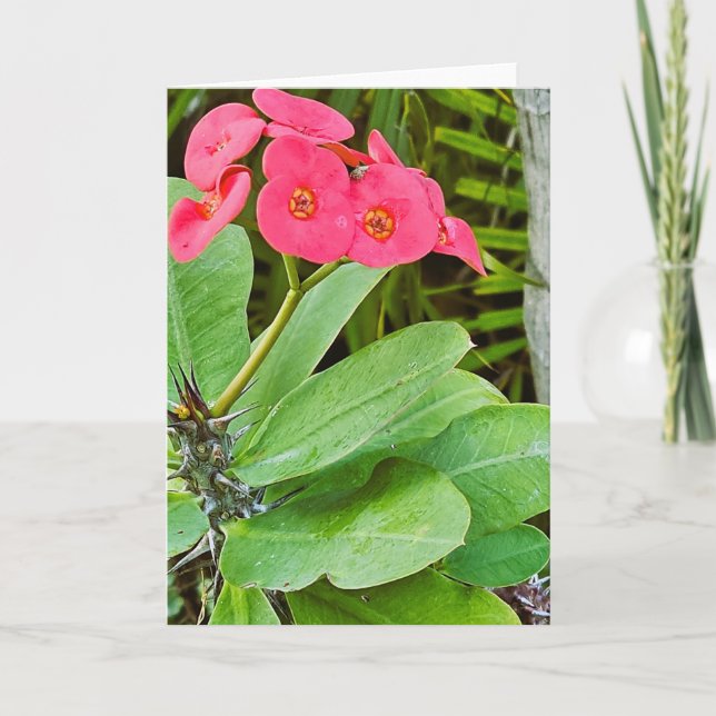 Pink flower greeting card (Front)