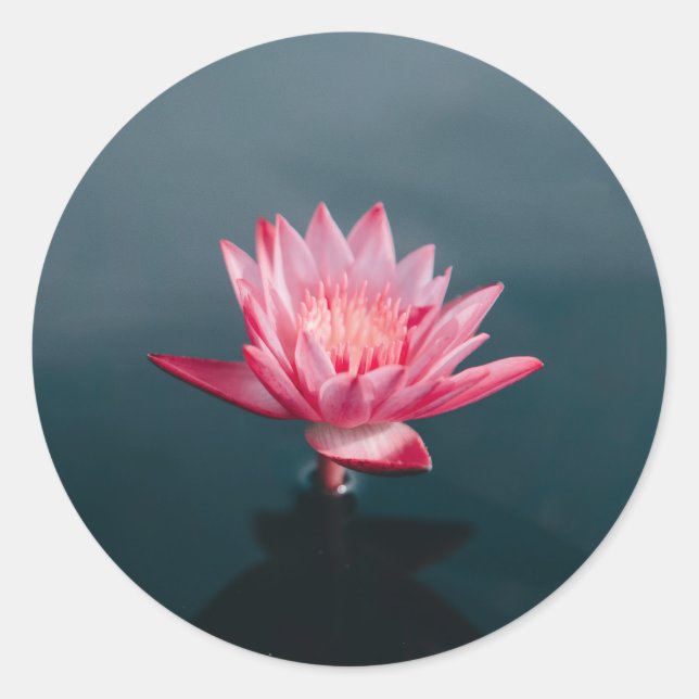 Pink Flower Greeting Card set Classic Round Sticker (Front)