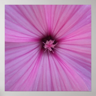Pink Flower Heart Petals Poster