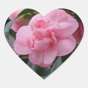 Pink Flower Heart Sticker