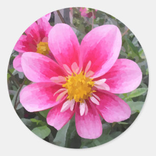 Pink Flower In Bloom Painted Effect Classic Round Sticker