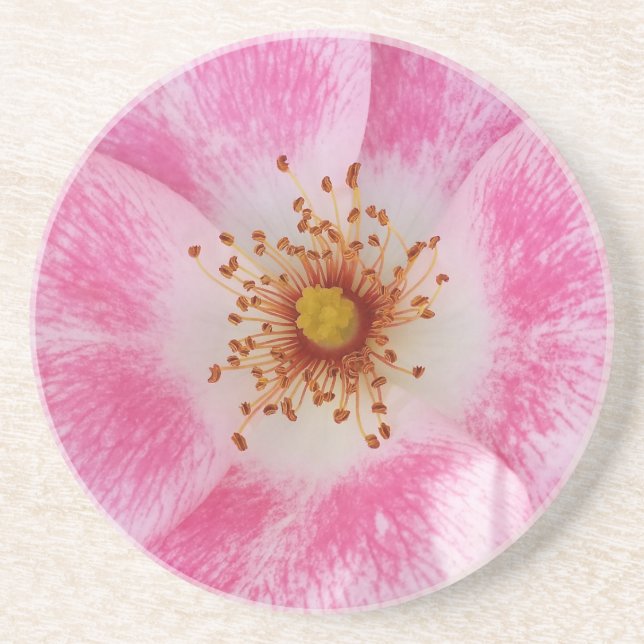 pink flower in the shade coaster (Front)