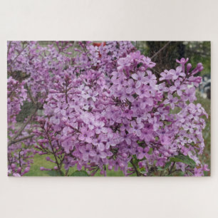 Pink  Flower Jigsaw Puzzle