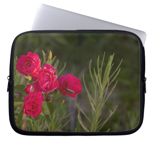 Pink Flower Laptop Sleeve (Front)